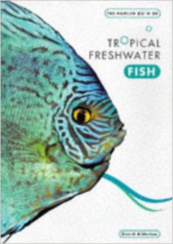 Tropical freshwater fish