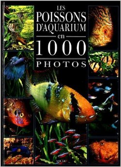 LES Poissons d'acquarium en 1000 photos