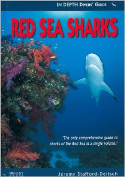 Red sea sharks