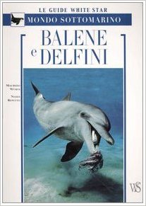 Balene e delfini