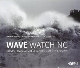 Wave watching