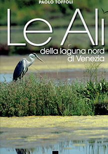 Le Ali della laguna nord di venezia