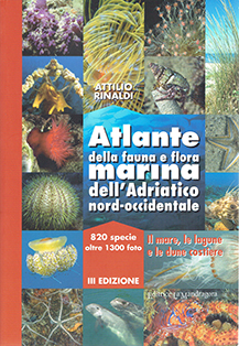 Atlante della fauna e flora marina dell'adriatico nord-occidentale