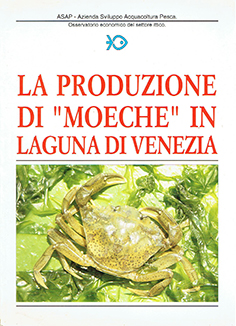 La Produzione di moeche in laguna di venezia