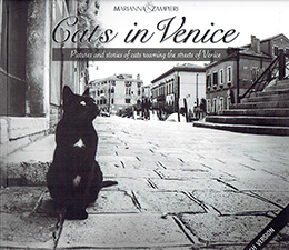 Cats in Venice