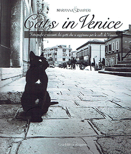 Cats in Venice - gatti a Venezia