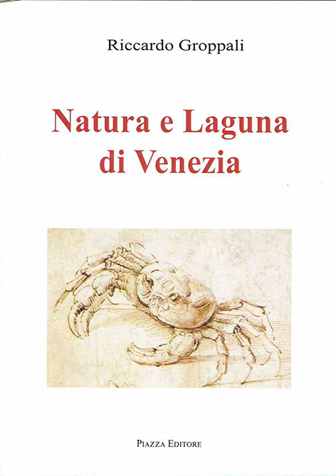 Natura e laguna di venezia