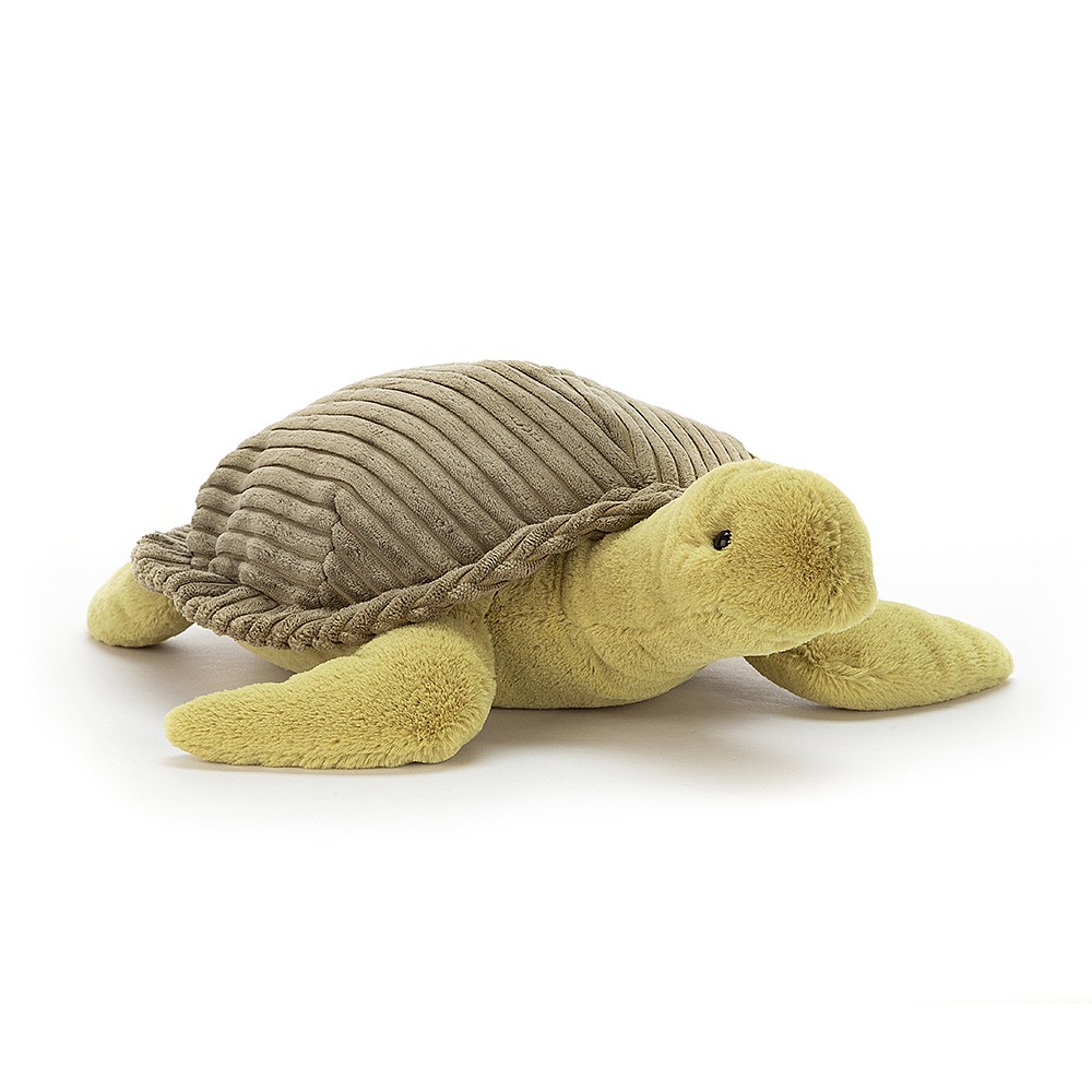 Terence turtle - tartaruga