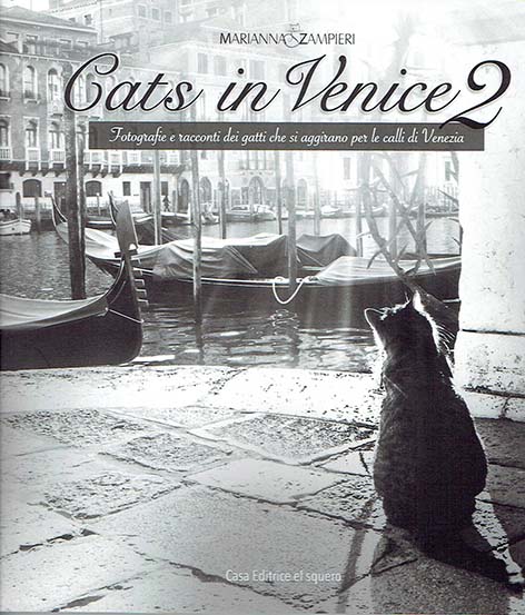 Cats in Venice 2 - gatti a Venezia