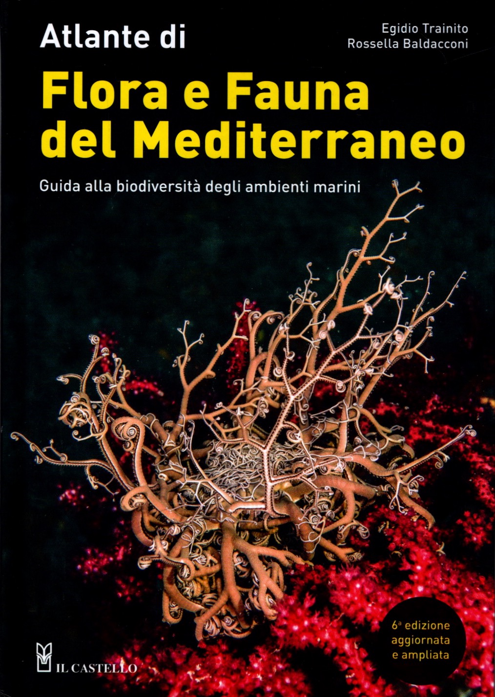 Flora e fauna del mediterraneo
