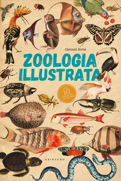 Zoologia illustrata. Con 10 poster