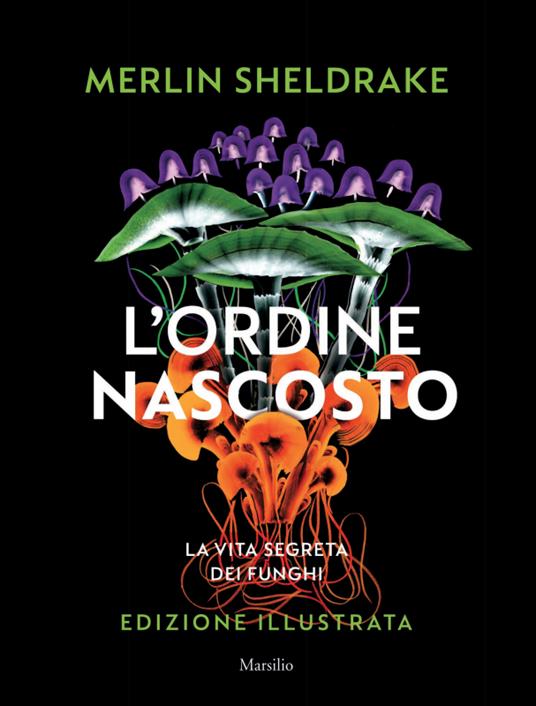 L'ordine nascosto